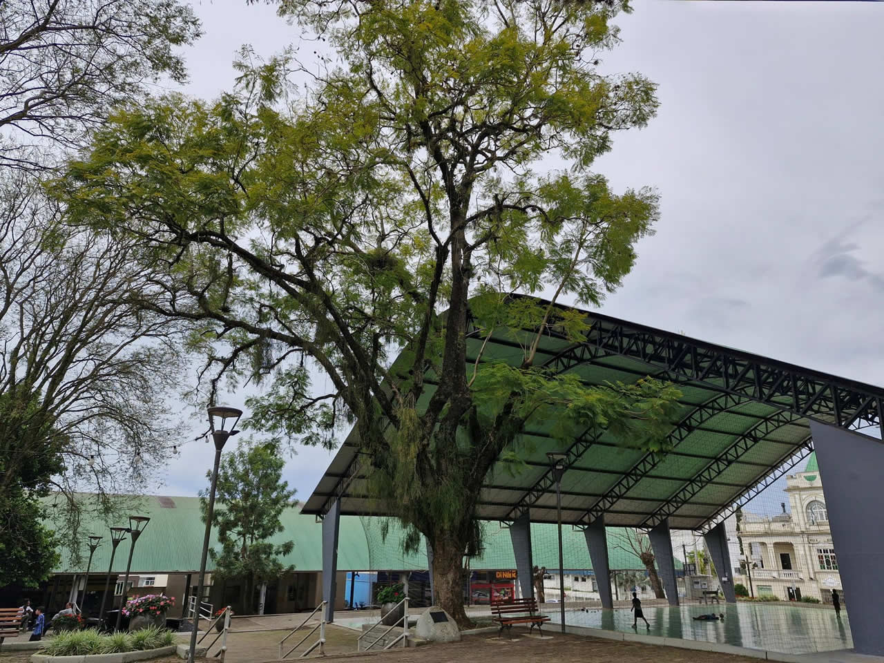 Ação marca Dia da Árvore em Arroio do Meio