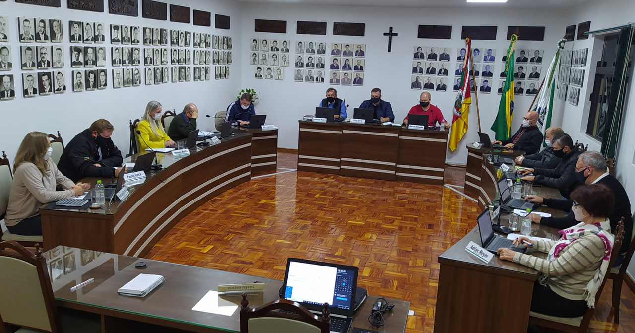 Número de cães soltos nas vias e em propriedades preocupa vereadores