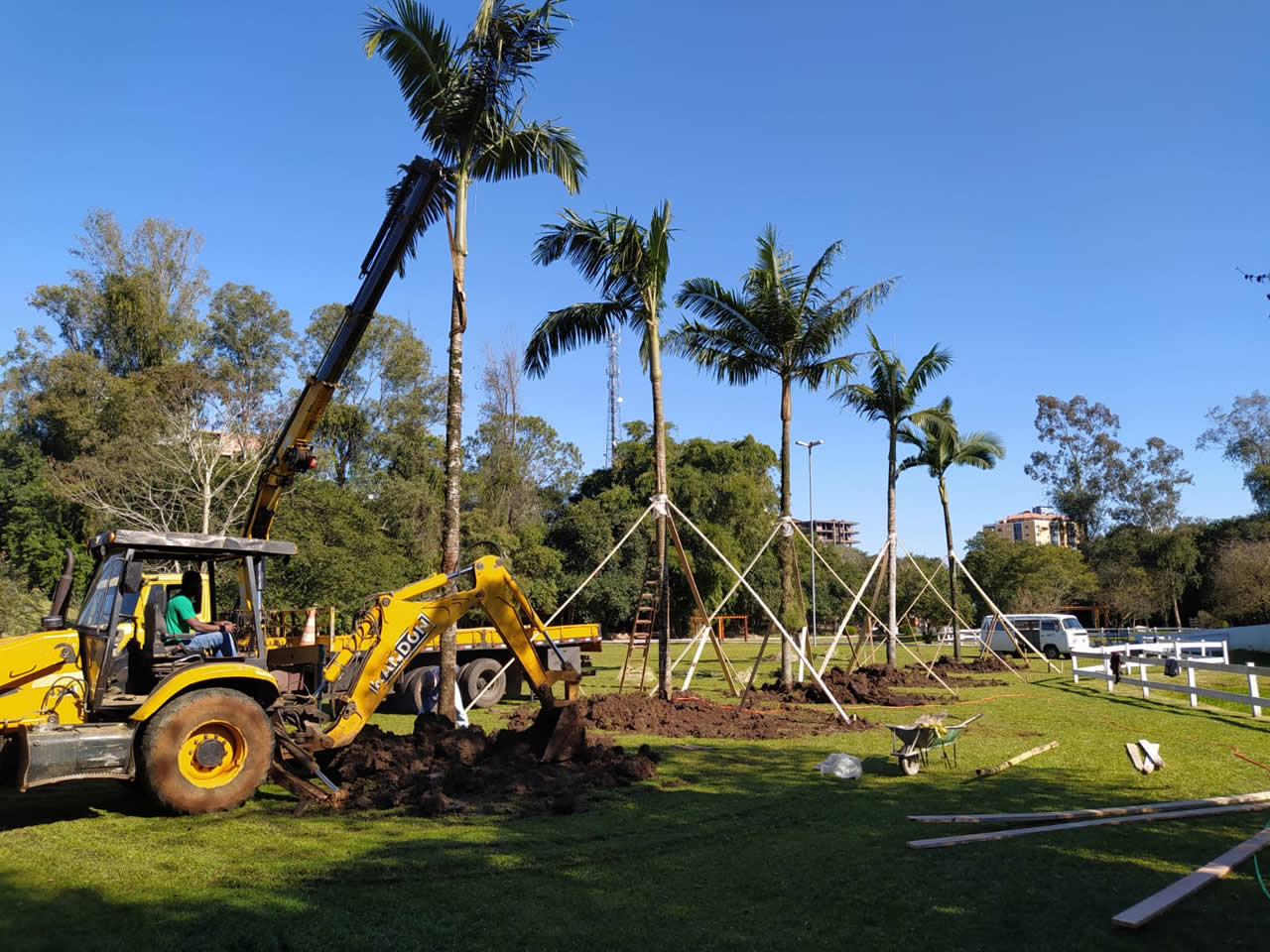 Palmeiras com mais de 30 anos são replantadas na área de lazer