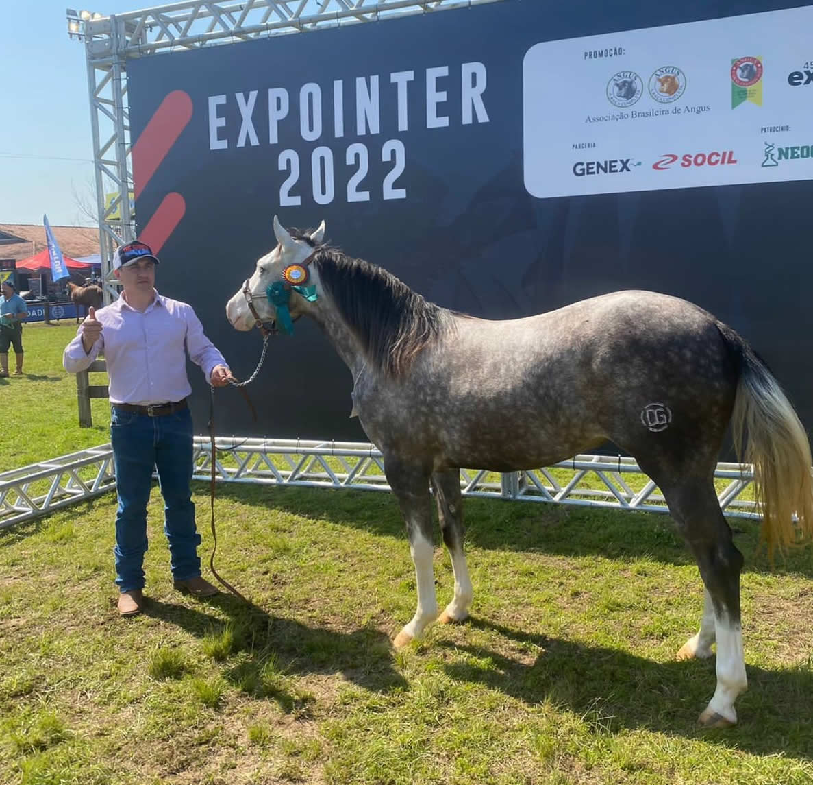 Criador de Arroio do Meio tem animais premiados na Expointer