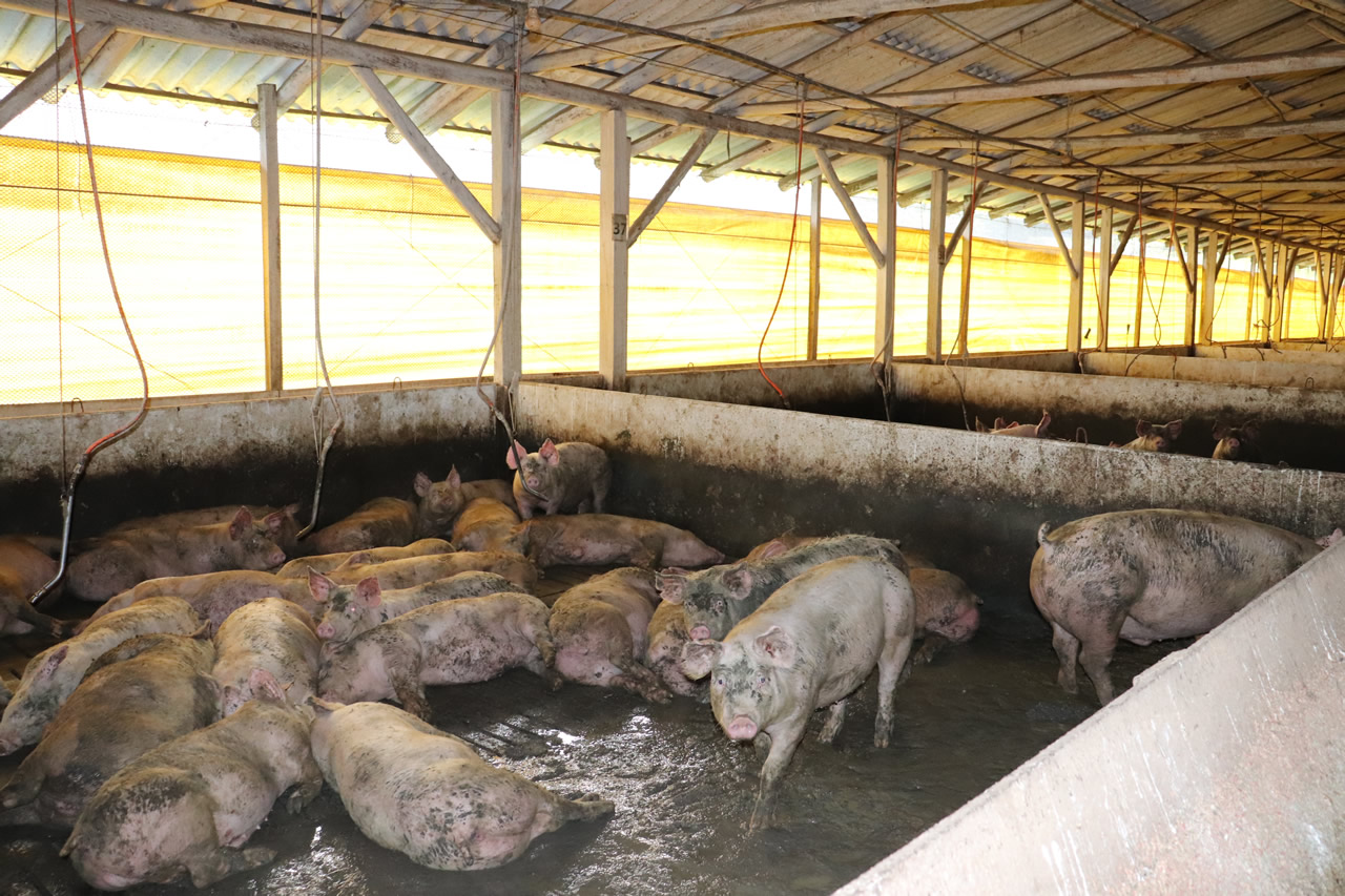 Município reduz taxa de licenciamento ambiental em até 60%