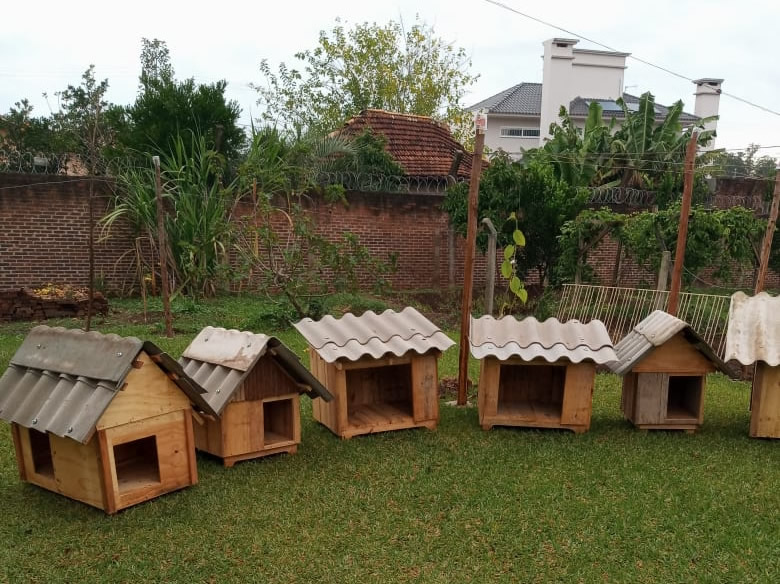 Apenados do Presídio Estadual de Arroio do Meio já confeccionaram mais de 300 casinhas para cães de rua