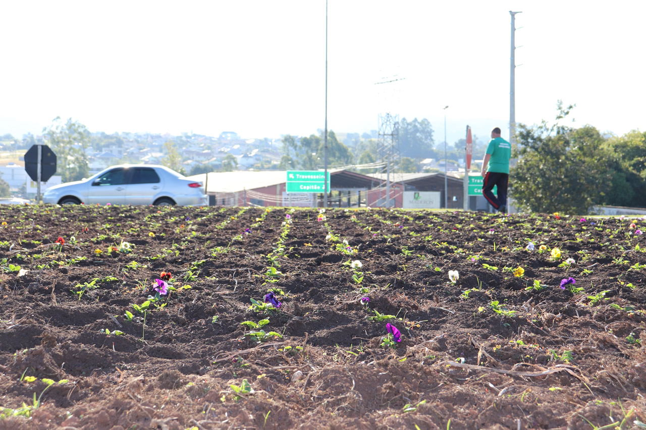 Plantio de flores e manutenção de canteiros é realizado em espaços públicos