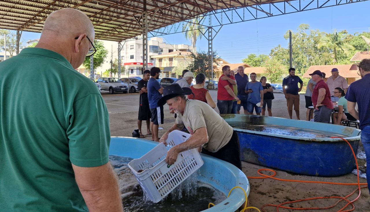 Feira de Peixe Vivo ocorre neste sábado, no Centro