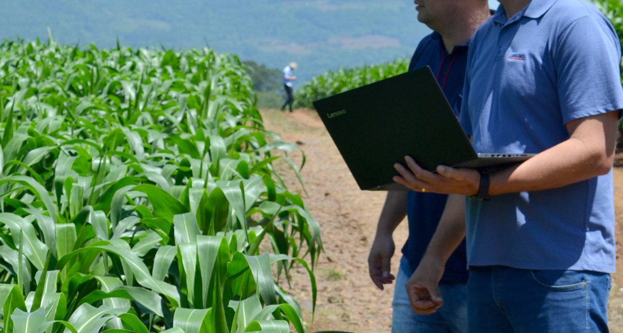 Languiru oferece curso gratuito de inclusão digital aos seus associados